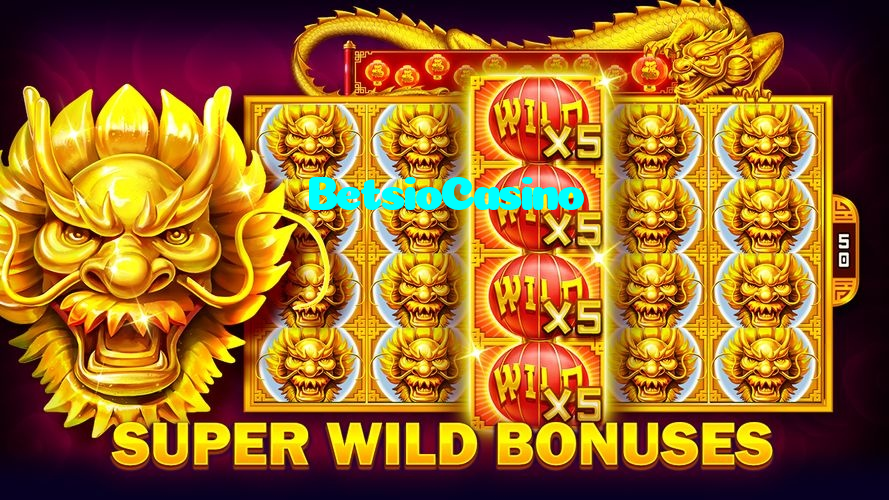 available types of BetsioCasino bet including pre-match live express and system bets